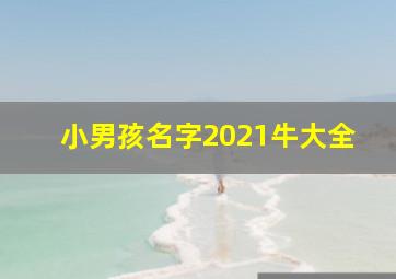 小男孩名字2021牛大全