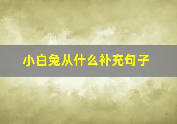 小白兔从什么补充句子