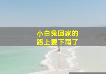 小白兔回家的路上要下雨了