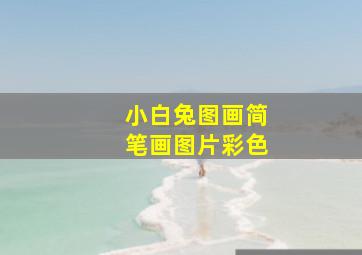 小白兔图画简笔画图片彩色