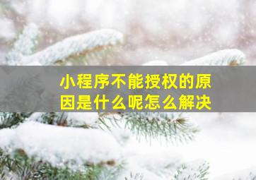 小程序不能授权的原因是什么呢怎么解决