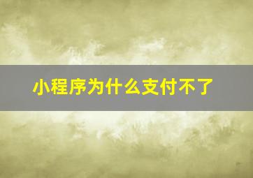 小程序为什么支付不了