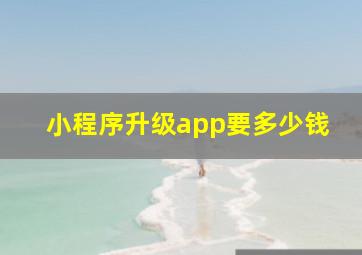 小程序升级app要多少钱