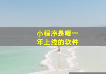 小程序是哪一年上线的软件