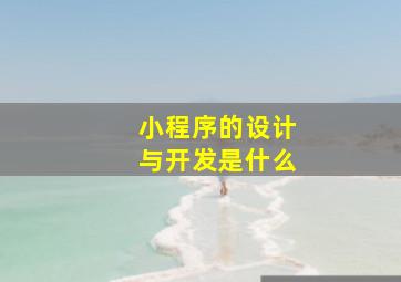 小程序的设计与开发是什么