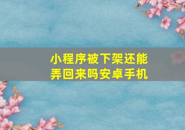 小程序被下架还能弄回来吗安卓手机