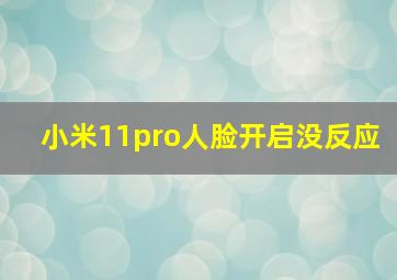 小米11pro人脸开启没反应