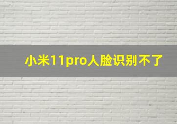 小米11pro人脸识别不了