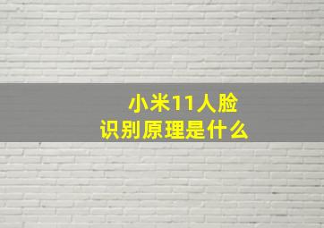 小米11人脸识别原理是什么