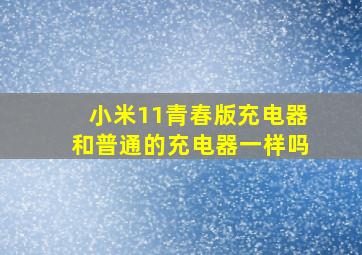 小米11青春版充电器和普通的充电器一样吗