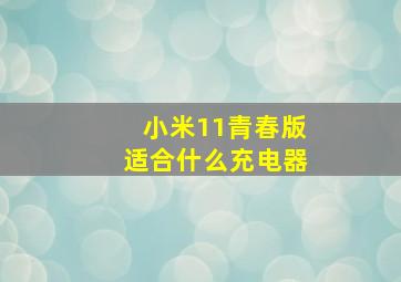 小米11青春版适合什么充电器