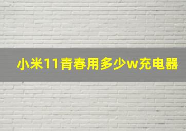 小米11青春用多少w充电器