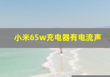 小米65w充电器有电流声