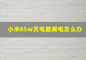 小米65w充电器漏电怎么办