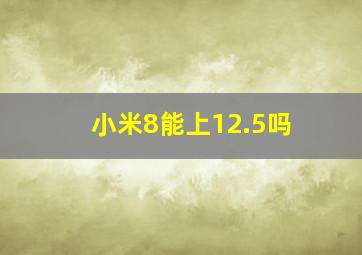 小米8能上12.5吗