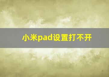 小米pad设置打不开