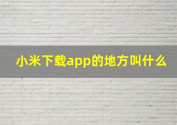 小米下载app的地方叫什么