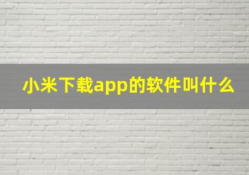 小米下载app的软件叫什么