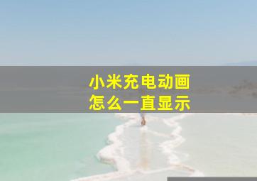 小米充电动画怎么一直显示