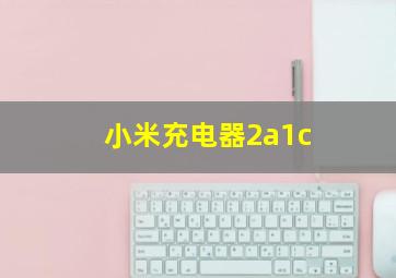 小米充电器2a1c