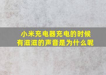 小米充电器充电的时候有滋滋的声音是为什么呢