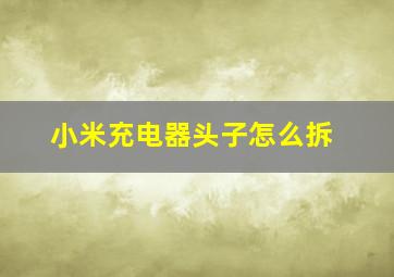 小米充电器头子怎么拆