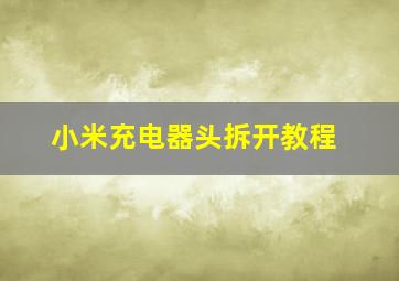 小米充电器头拆开教程