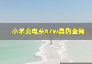 小米充电头67w真伪查询