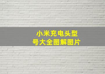 小米充电头型号大全图解图片