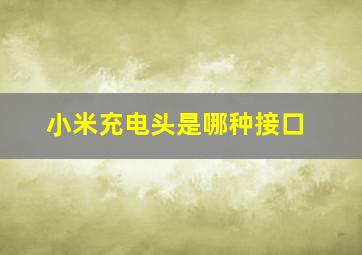 小米充电头是哪种接口