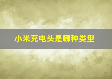 小米充电头是哪种类型