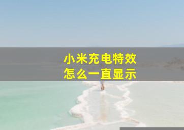 小米充电特效怎么一直显示