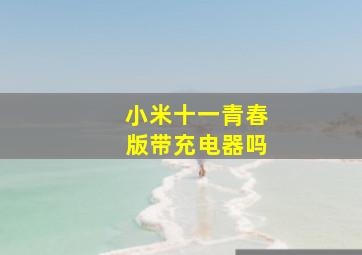 小米十一青春版带充电器吗