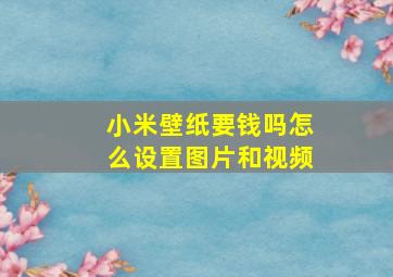 小米壁纸要钱吗怎么设置图片和视频