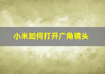 小米如何打开广角镜头