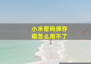 小米密码保存箱怎么用不了