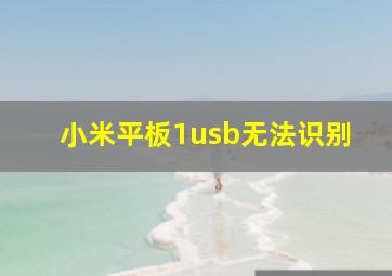 小米平板1usb无法识别