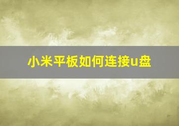 小米平板如何连接u盘