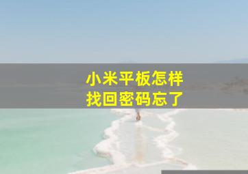 小米平板怎样找回密码忘了