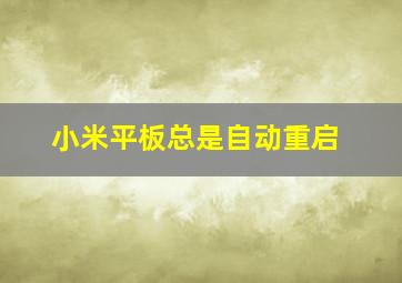 小米平板总是自动重启