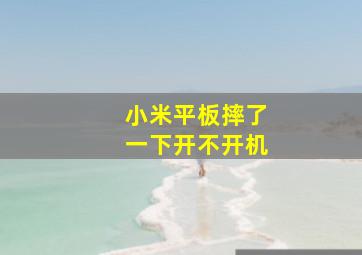 小米平板摔了一下开不开机