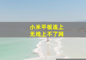 小米平板连上无线上不了网