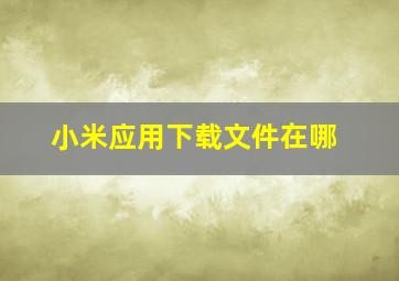 小米应用下载文件在哪