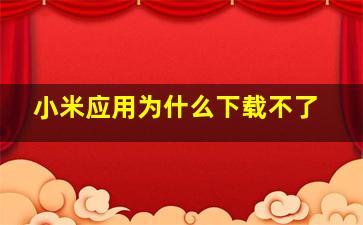 小米应用为什么下载不了