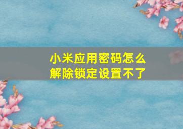 小米应用密码怎么解除锁定设置不了