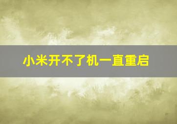 小米开不了机一直重启