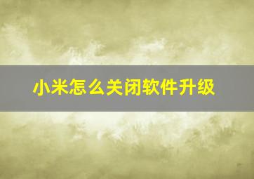 小米怎么关闭软件升级