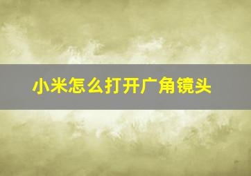 小米怎么打开广角镜头