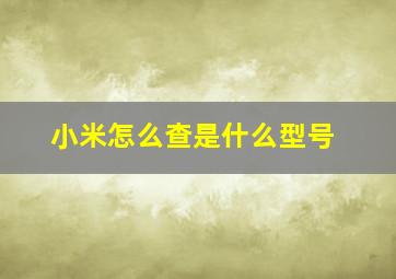 小米怎么查是什么型号