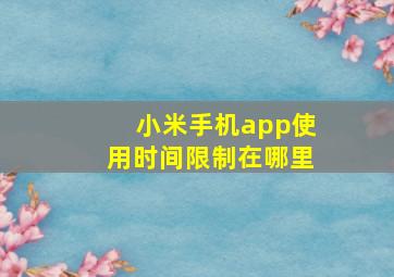 小米手机app使用时间限制在哪里